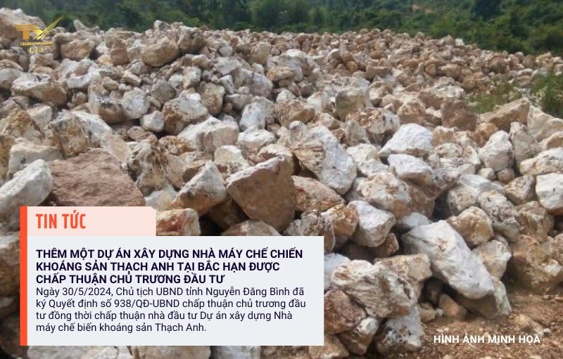 MÁY NGHIỀN BÚA DI ĐỘNG